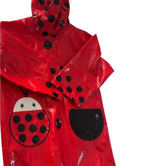 Red Raincoat ladybug 🐞🐞 - Picture 2 of 3